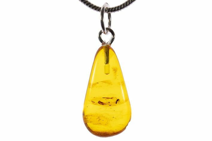 Polished Baltic Amber Pendant (Necklace) - Contains Fly! #339611